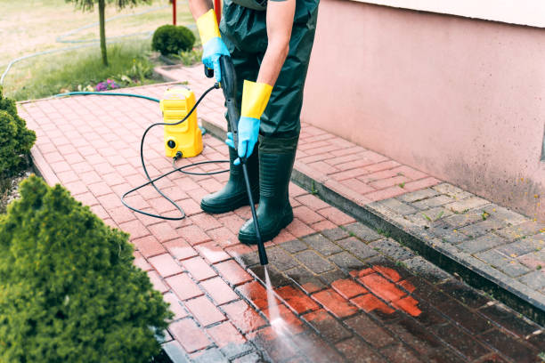 Best Building Exterior Washing  in Colchester, IL